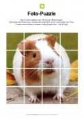 Arbeitsblatt: Fotopuzzle Meerschweinchen