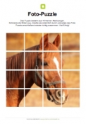 Arbeitsblatt: Fotopuzzle Pferd