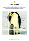 Arbeitsblatt: Fotopuzzle Pinguin