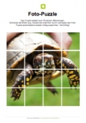 Arbeitsblatt: Fotopuzzle Schildkröte