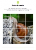 Arbeitsblatt: Fotopuzzle Schnecke