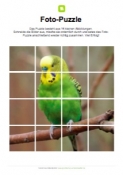 Arbeitsblatt: Fotopuzzle Wellensittich