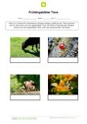 Frühlingsbilder Tiere Frühlingsbilder Tiere