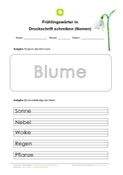 Arbeitsblatt: Frühlingswörter in Druckschrift schreiben (Nomen)