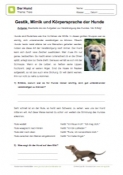 Arbeitsblatt: Gestik, Mimik und Körpersprache bei Hunden