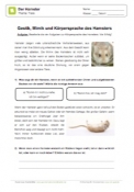 Arbeitsblatt: Gestik, Mimik und Körpersprache des Hamsters