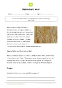 Arbeitsblatt: Getreide Mehl: Text und Aufgaben