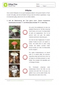 Arbeitsblatt: Giftige Pilze