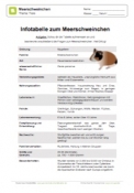 Arbeitsblatt: Infotabelle Meerschweinchen