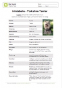 Arbeitsblatt: Infotabelle Yorkshire Terrier