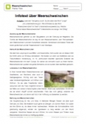 Arbeitsblatt: Infotext Meerschweinchen