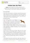 Arbeitsblatt: Infotext über das Pferd