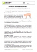 Arbeitsblatt: Infotext über Schweine