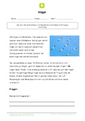 Infotext zu Vögeln mit Aufgaben