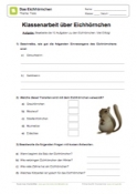 Arbeitsblatt: Klassenarbeit Eichhörnchen