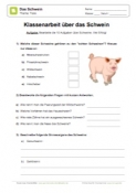 Arbeitsblatt: Klassenarbeit Schweine