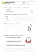 Arbeitsblatt: Klassenarbeit Zähne