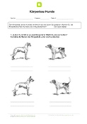Arbeitsblatt: Körperbau bei Hunden