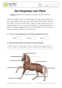 Arbeitsblatt: Körperbau vom Pferd
