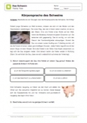 Arbeitsblatt: Körpersprache bei Schweinen