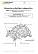 Arbeitsblatt: Körperteile Schildkröte beschriften