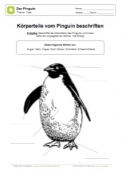 Arbeitsblatt: Körperteile vom Pinguin beschriften