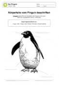 Körperteile vom Pinguin beschriften