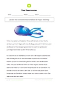 Lesetext - Das Seemonster Lesetext - Das Seemonster