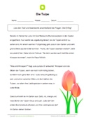 Lesetext - Die Tulpe Lesetext - Die Tulpe