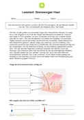Lesetext: Sinnesorgan Haut (mit Aufgaben)