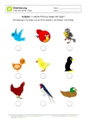 Arbeitsblatt: Links oder rechts bestimmen mit Vögeln