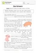 Arbeitsblatt: Lückentext - Das Schwein