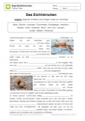 Arbeitsblatt: Lückentext über Eichhörnchen