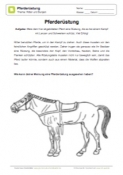 Arbeitsblatt: Pferderüstung malen