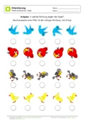 Arbeitsblatt: Richtung bestimmen mit Vögeln