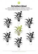 Arbeitsblatt: Schattenrätsel Gras