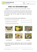 Arbeitsblatt: Schmetterlingsarten
