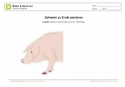 Arbeitsblatt: Schwein zu Ende zeichnen