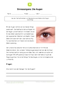 Sinne: Die Augen (Sehen)