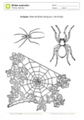 Arbeitsblatt: Spinnenbilder ausmalen