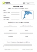 Arbeitsblatt: Steckbrief Delfin