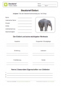 Arbeitsblatt: Steckbrief Elefant
