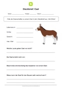Steckbrief Esel Steckbrief Esel