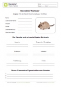Arbeitsblatt: Steckbrief Hamster