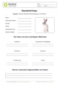 Arbeitsblatt: Steckbrief Hase