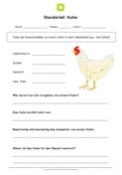 Steckbrief Huhn