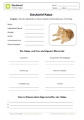 Arbeitsblatt: Steckbrief Katze