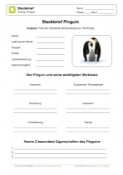 Arbeitsblatt: Steckbrief Pinguin