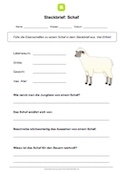 Steckbrief Schaf Steckbrief Schaf