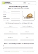 Arbeitsblatt: Steckbrief Weinbergschnecke